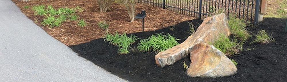 How to bring back color of mulch and keep it in place at the same